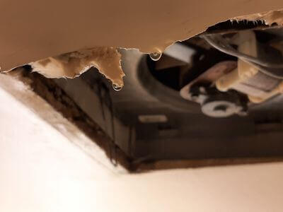 Professional attic mold removal services in Canonsburg - Canonsburg Attic Mold Removal