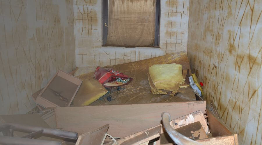 Why choose Canonsburg Attic Mold Removal for attic mold removal in Canonsburg